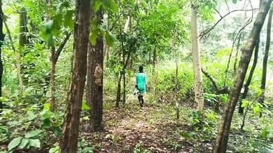 Bihari girl’s thick hairy pussy fucked in the forest